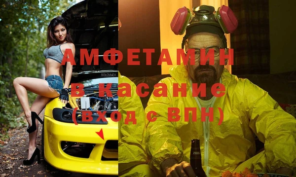 ГАЛЛЮЦИНОГЕННЫЕ ГРИБЫ Ельня