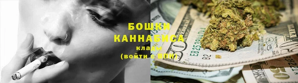 ПСИЛОЦИБИНОВЫЕ ГРИБЫ Елабуга
