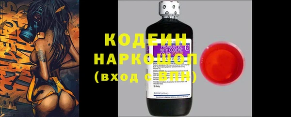 ГАЛЛЮЦИНОГЕННЫЕ ГРИБЫ Ельня