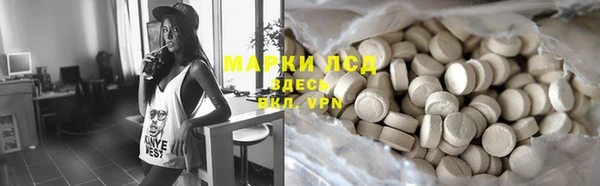 ПСИЛОЦИБИНОВЫЕ ГРИБЫ Елабуга