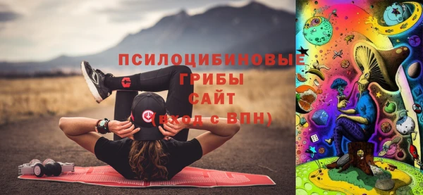 ГАЛЛЮЦИНОГЕННЫЕ ГРИБЫ Ельня