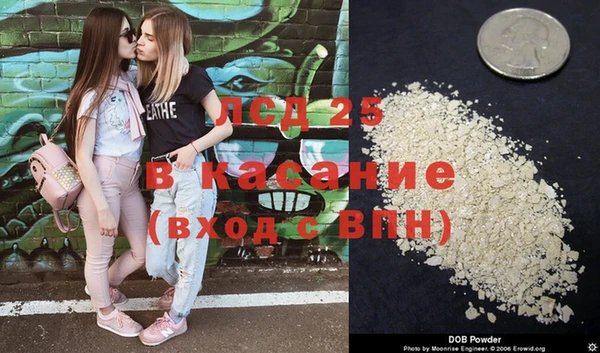 ПСИЛОЦИБИНОВЫЕ ГРИБЫ Елабуга