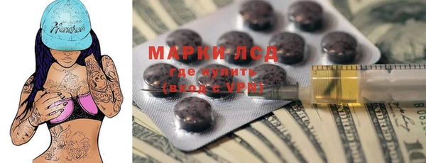 ПСИЛОЦИБИНОВЫЕ ГРИБЫ Елабуга